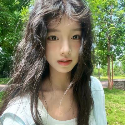 琴与罗莎封面