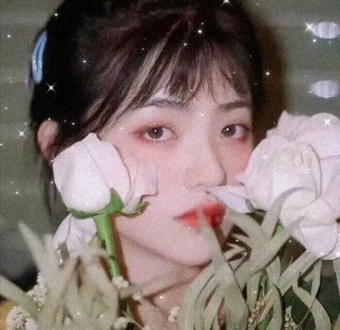 恶人谷封面